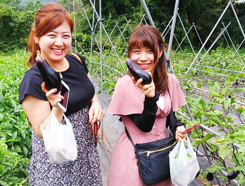 季節の野菜収穫